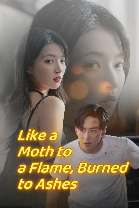 Like a Moth to a Flame, Burned to Ashes